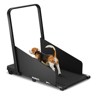 PaceMate 2-in-1 Dog Treadmill & Walking Pad